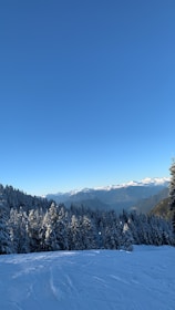 A scenic Idaho mountain landscape with a clear blue sky symbolizing freedom.
