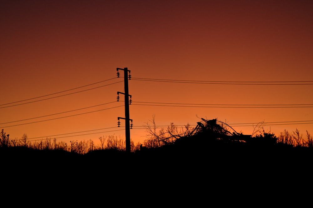 silhouette of grass field