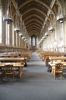 A cozy library corner with students studying and chatting, sunlight streaming through large windows.