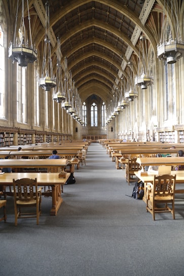 A warm, inviting study hall filled with students engaged in Torah learning.