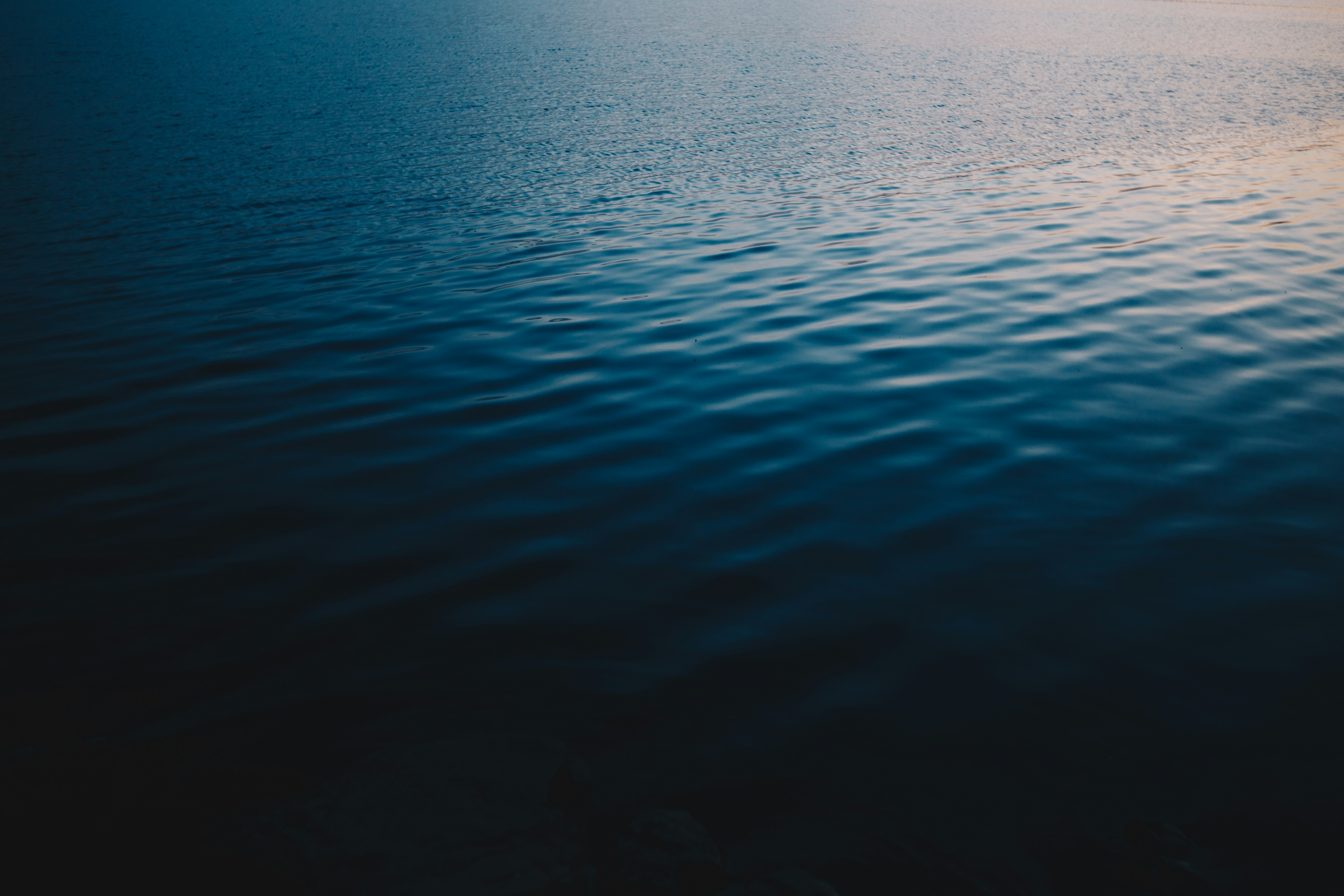 Photo by elenlaureano