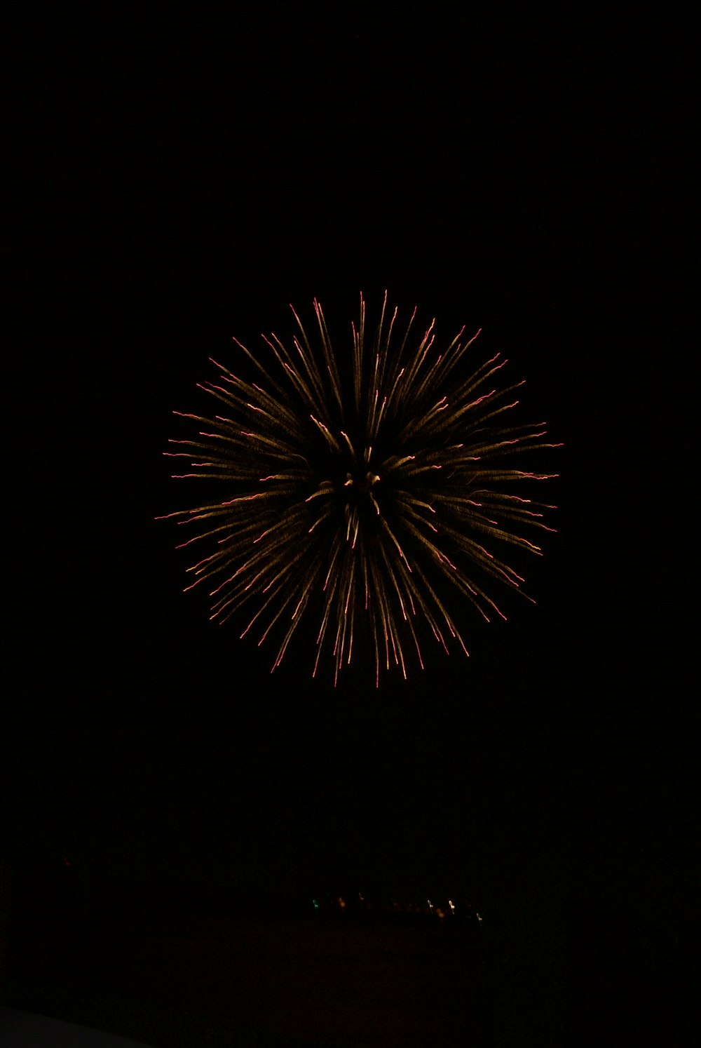 fireworks display