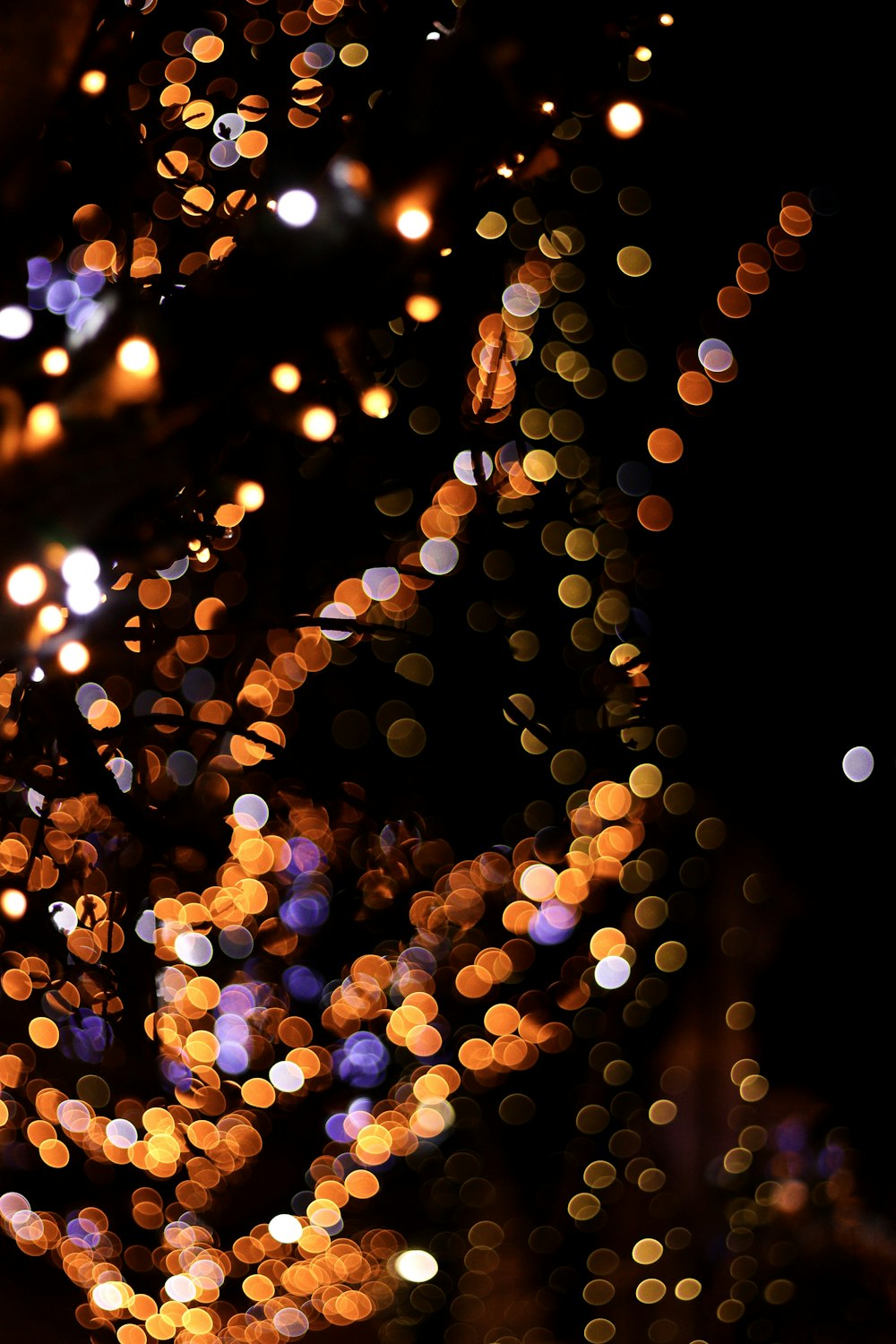 Una foto sfocata di un albero con le luci accese