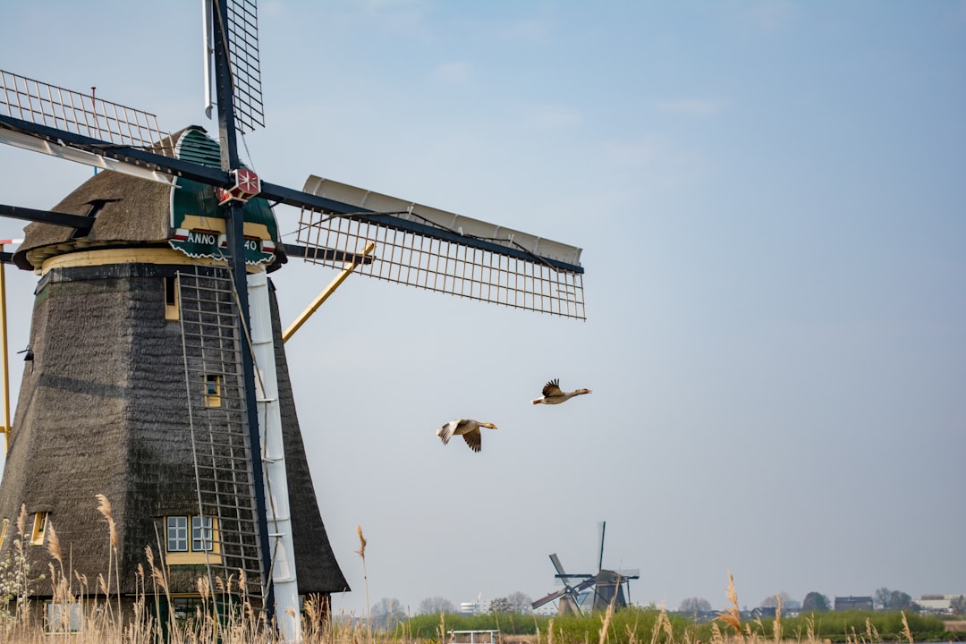 Wind mill with goose flying by