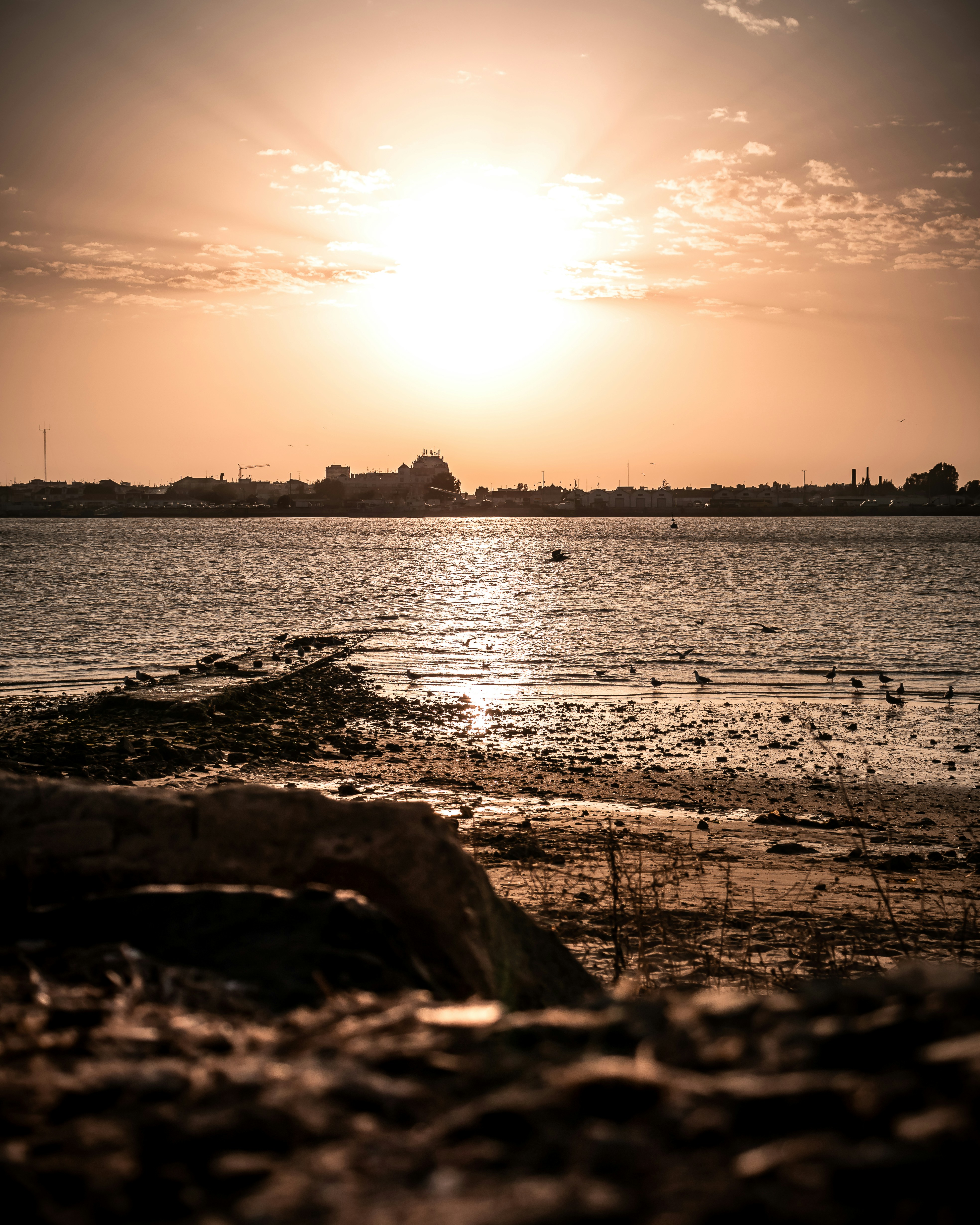 silhouette photography body of water