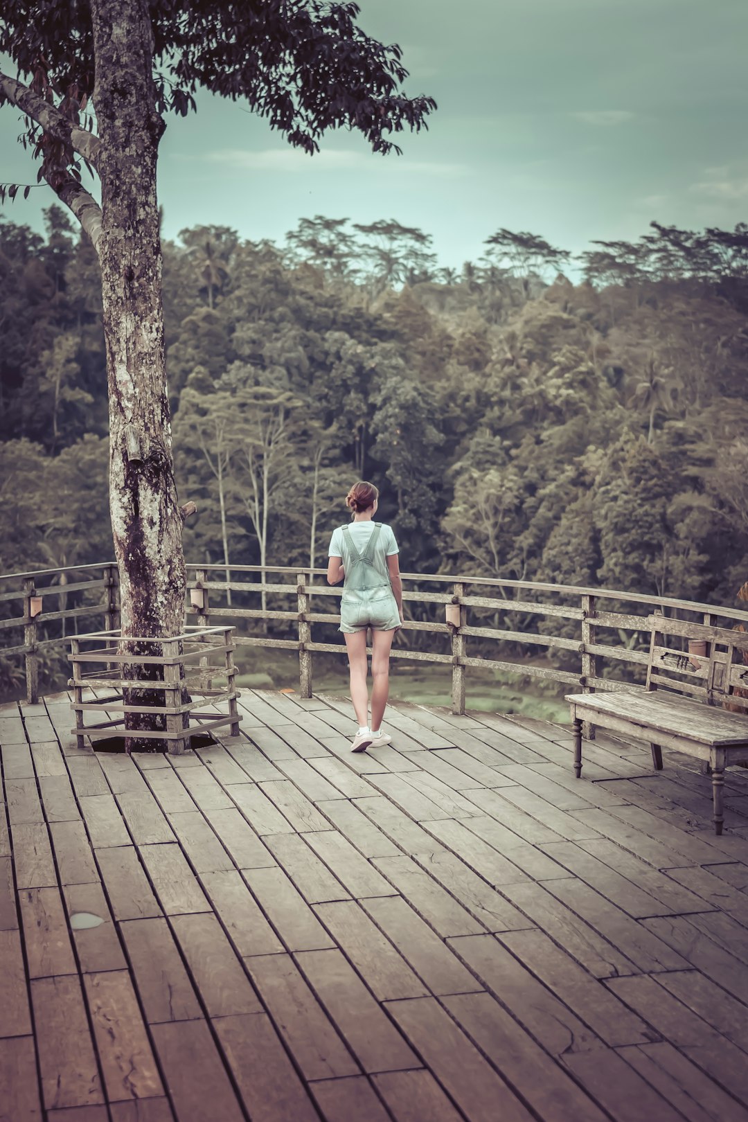 woman wearing dungaree shorts standing beside bench and tree