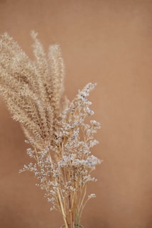 shallow focus photography of brown flowers