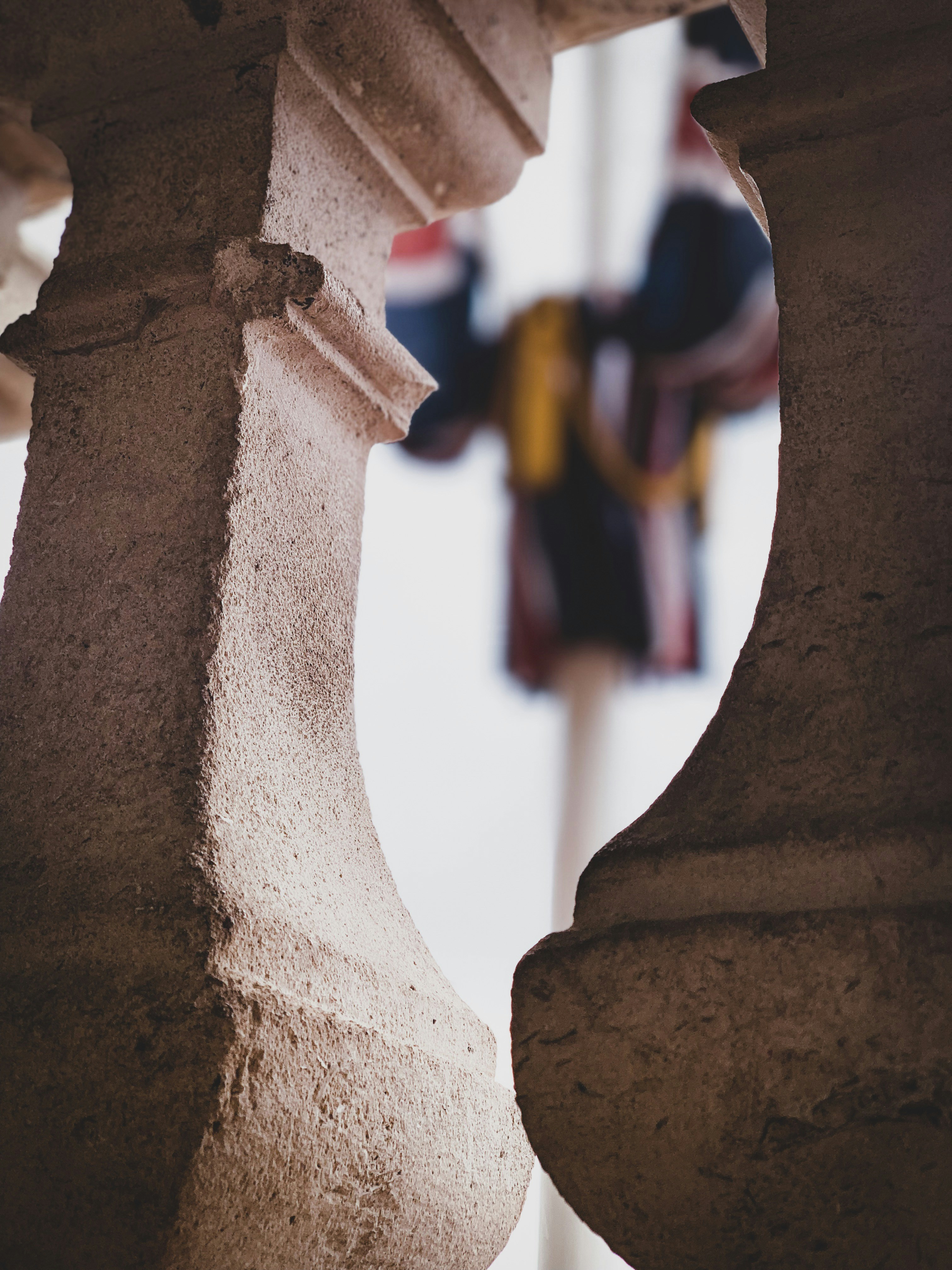 Photo by puregraphics