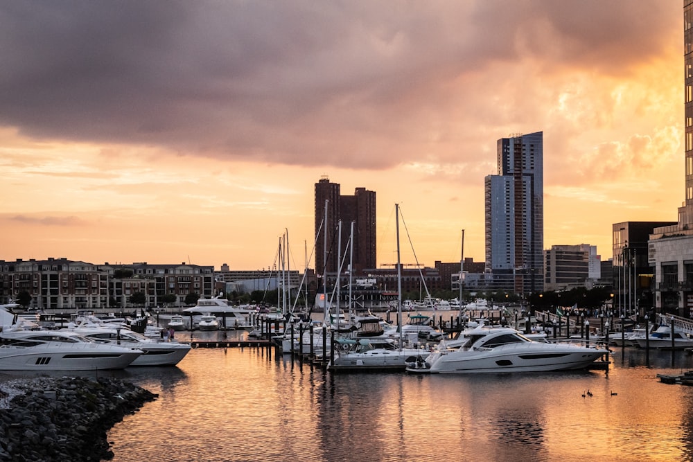 white boats during golden hour