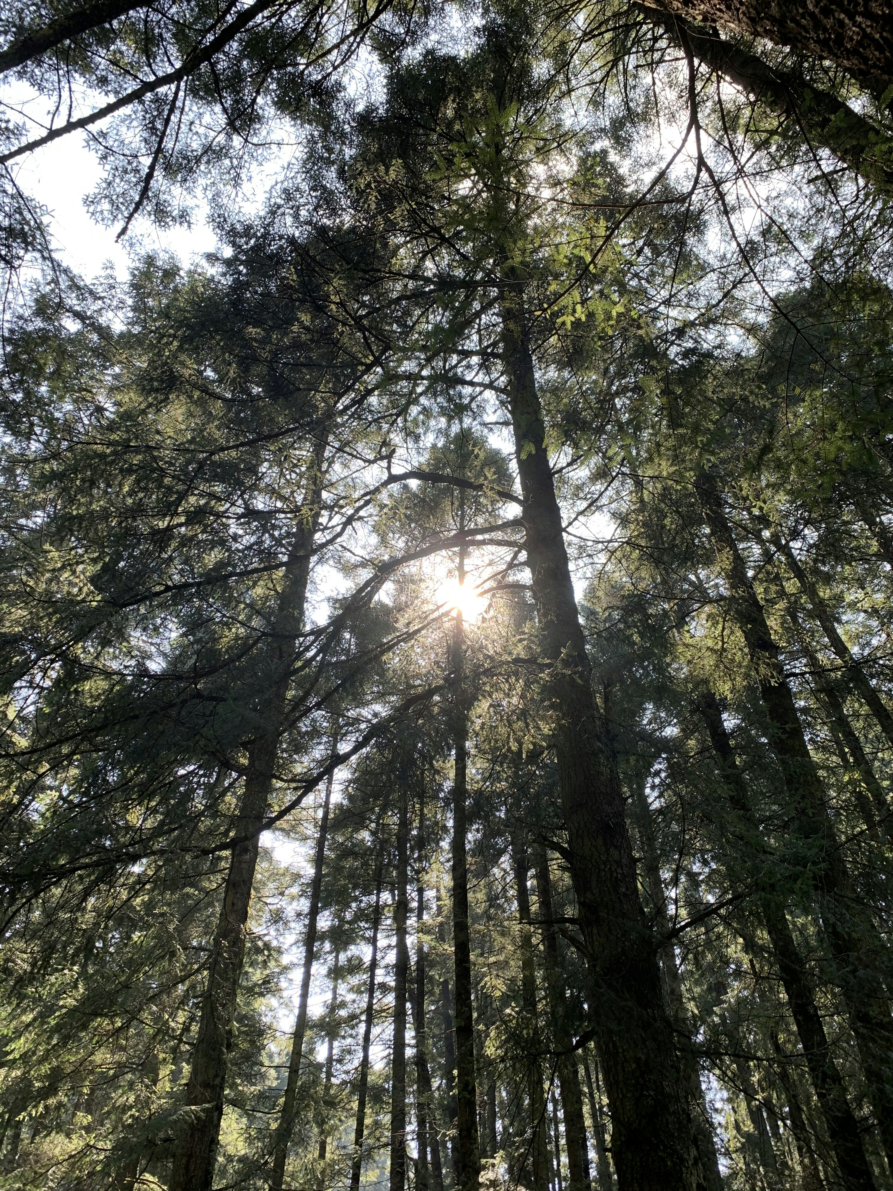 Photo by danielmcyanyes