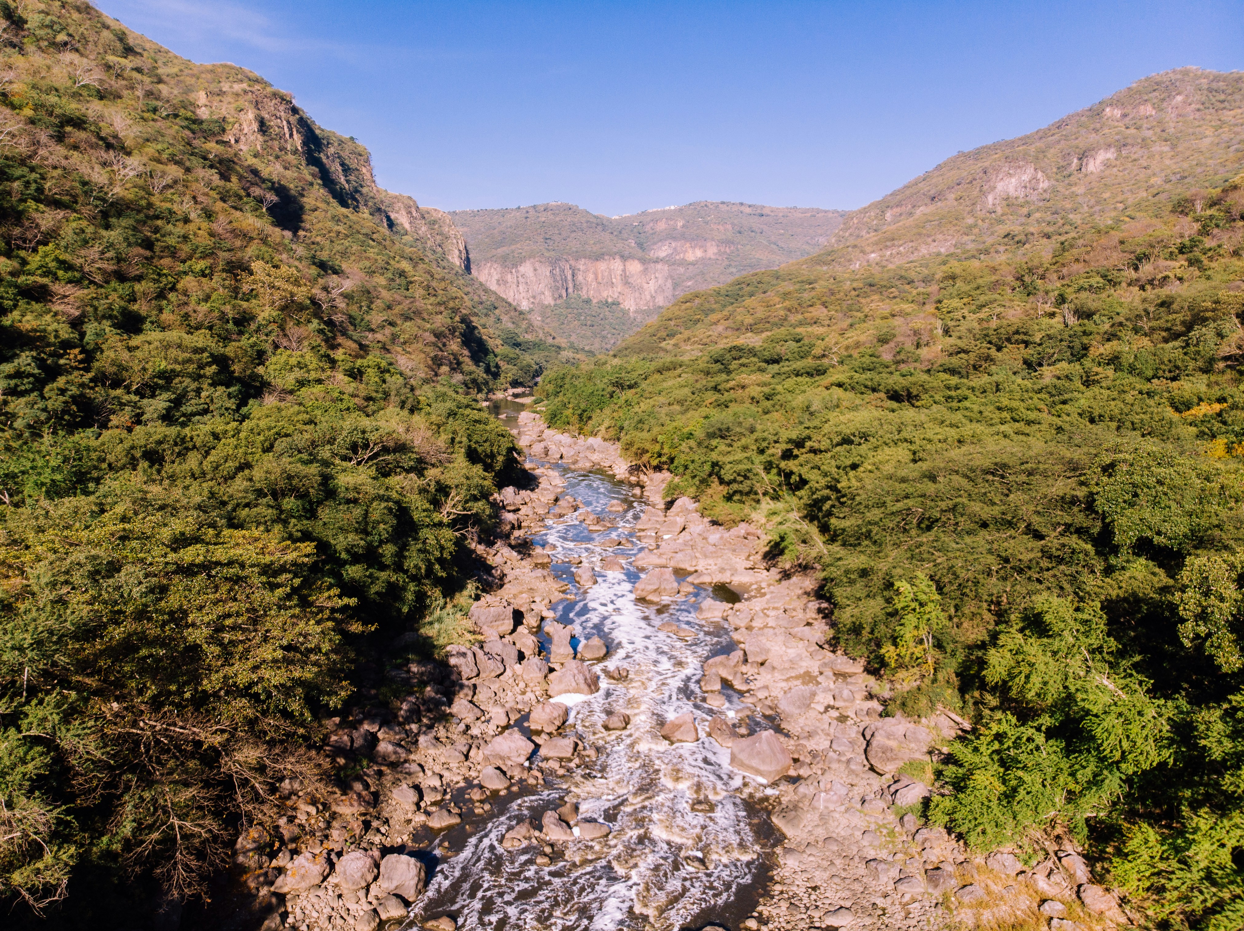 Rocky river canyon with waterfalls and dense green vegetation, bright daylight, open sky above canyon walls