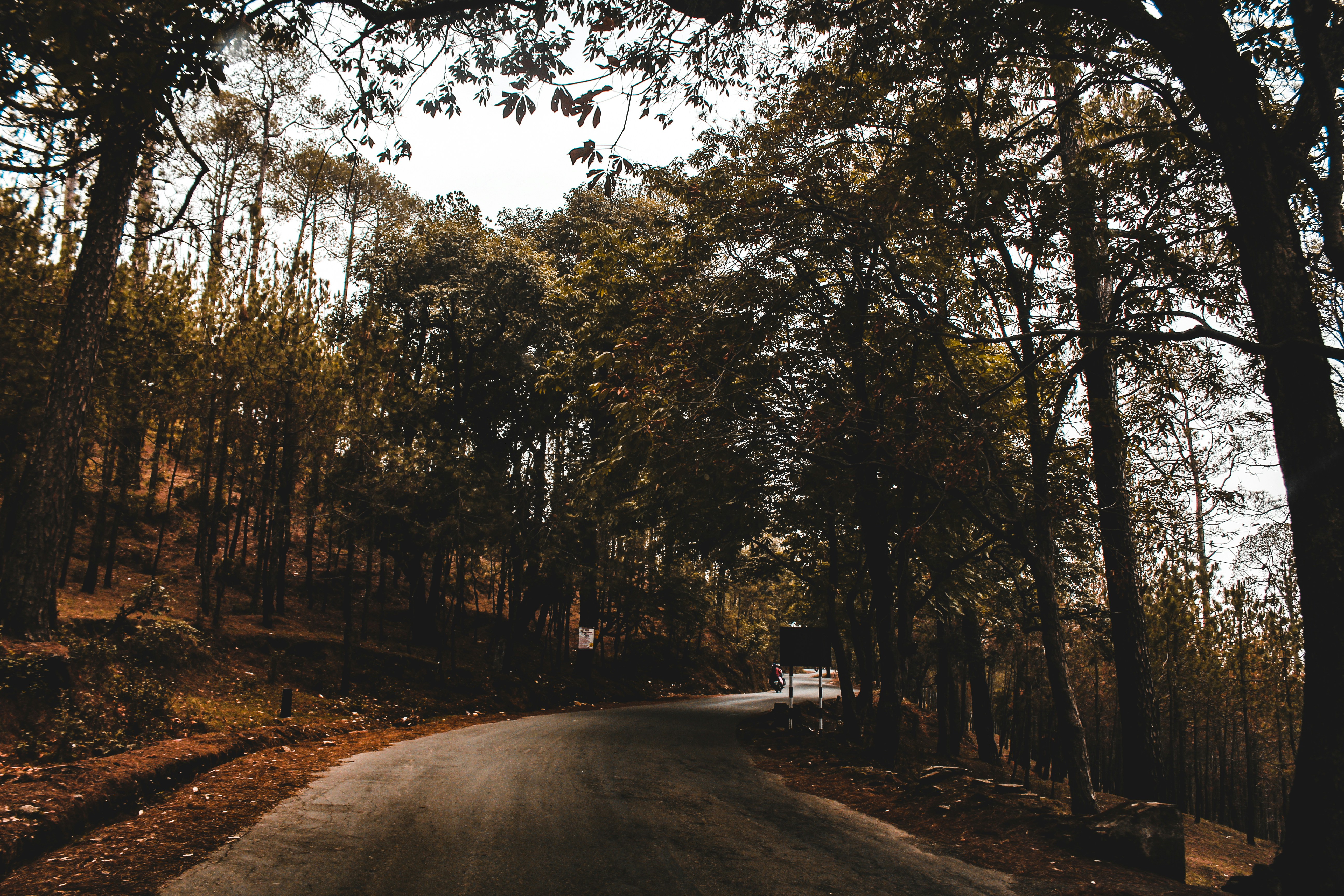 Photo by yogendras31