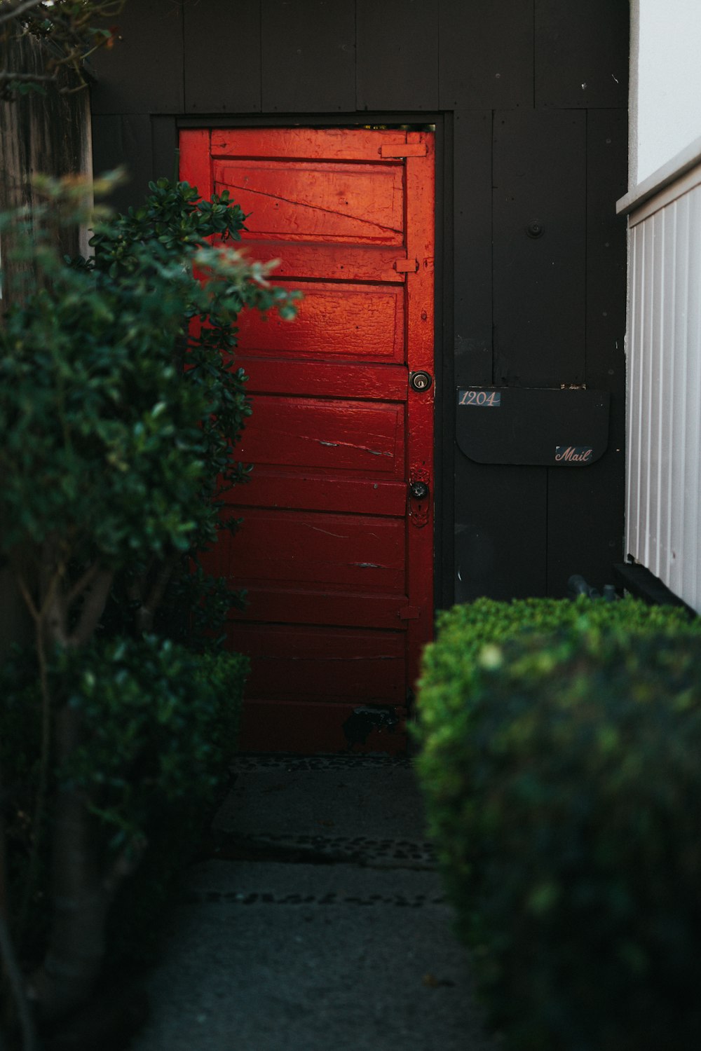 plants near door