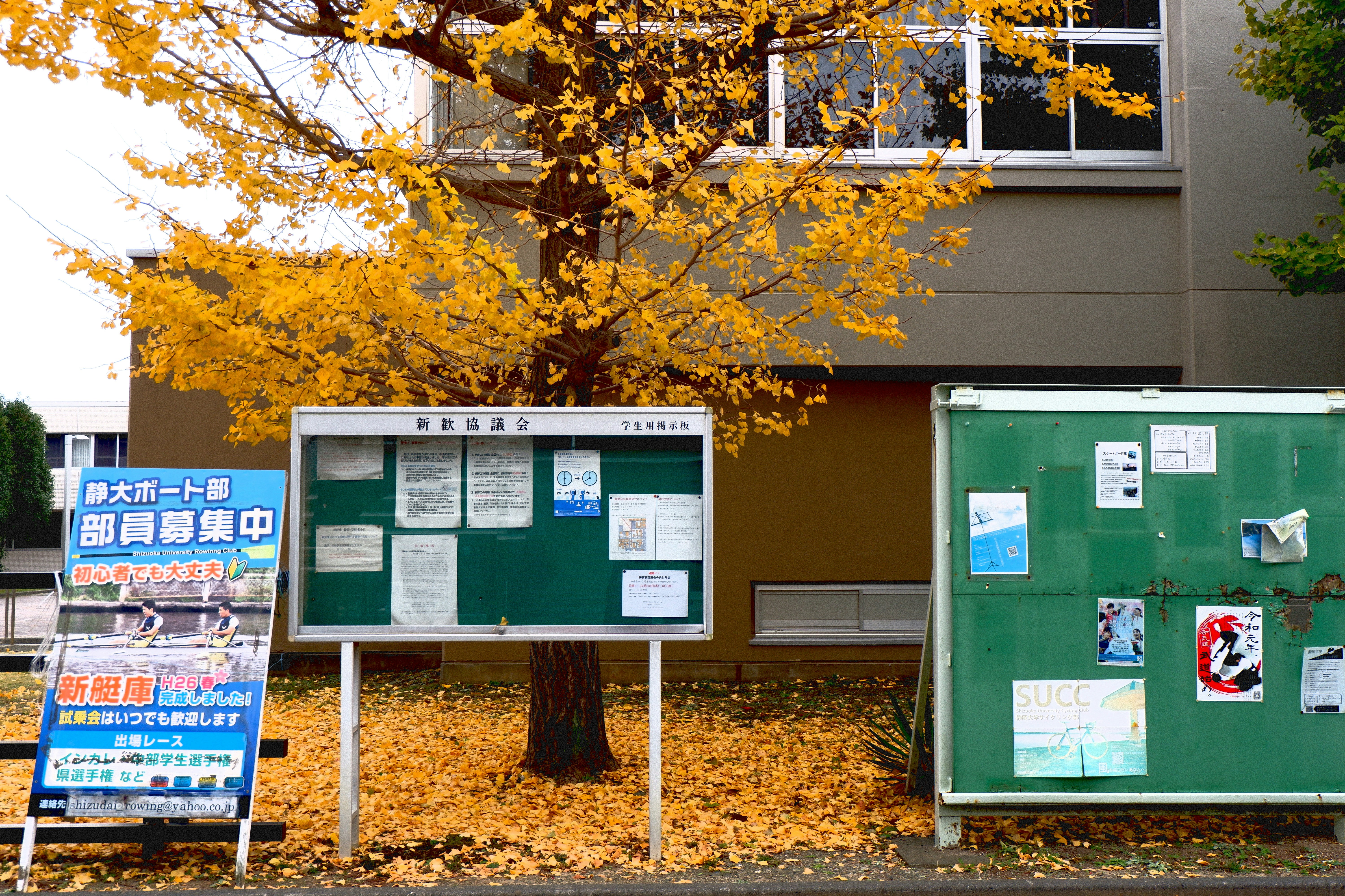 a couple of signs that are next to a tree