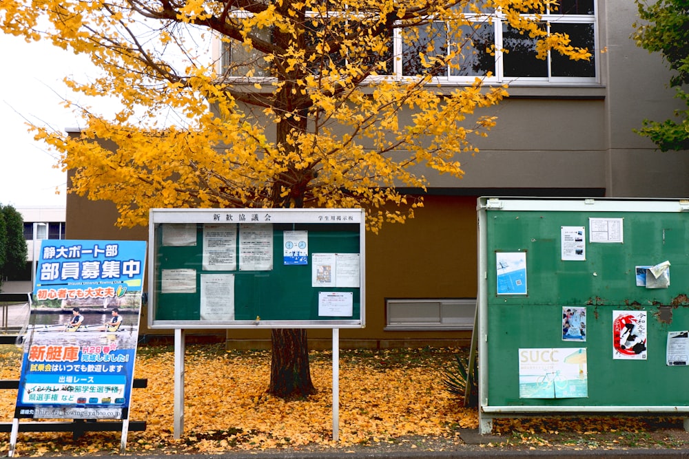 a couple of signs that are next to a tree