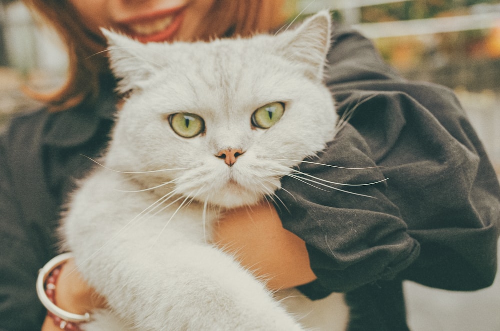 woman carrying white coated cat