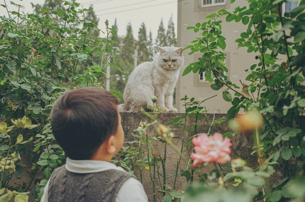 boy standing near cat