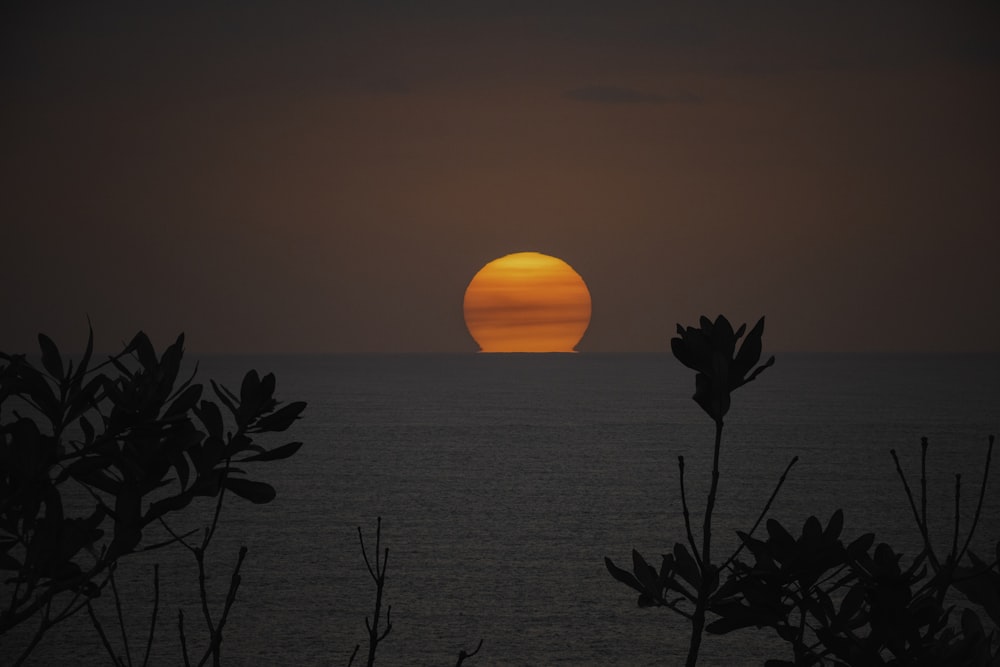 Specchio d'acqua durante le ore d'oro