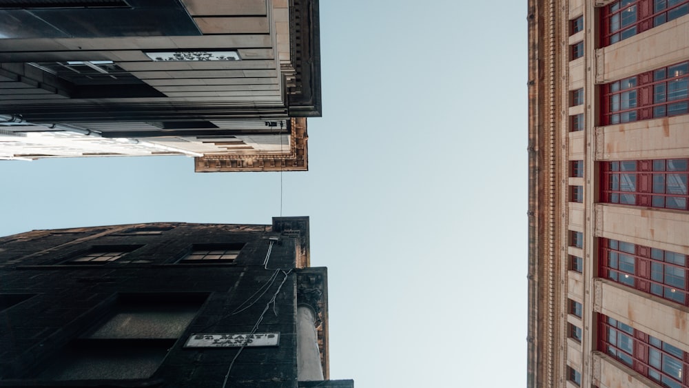 bottom view on high-rise buildings under blue sky