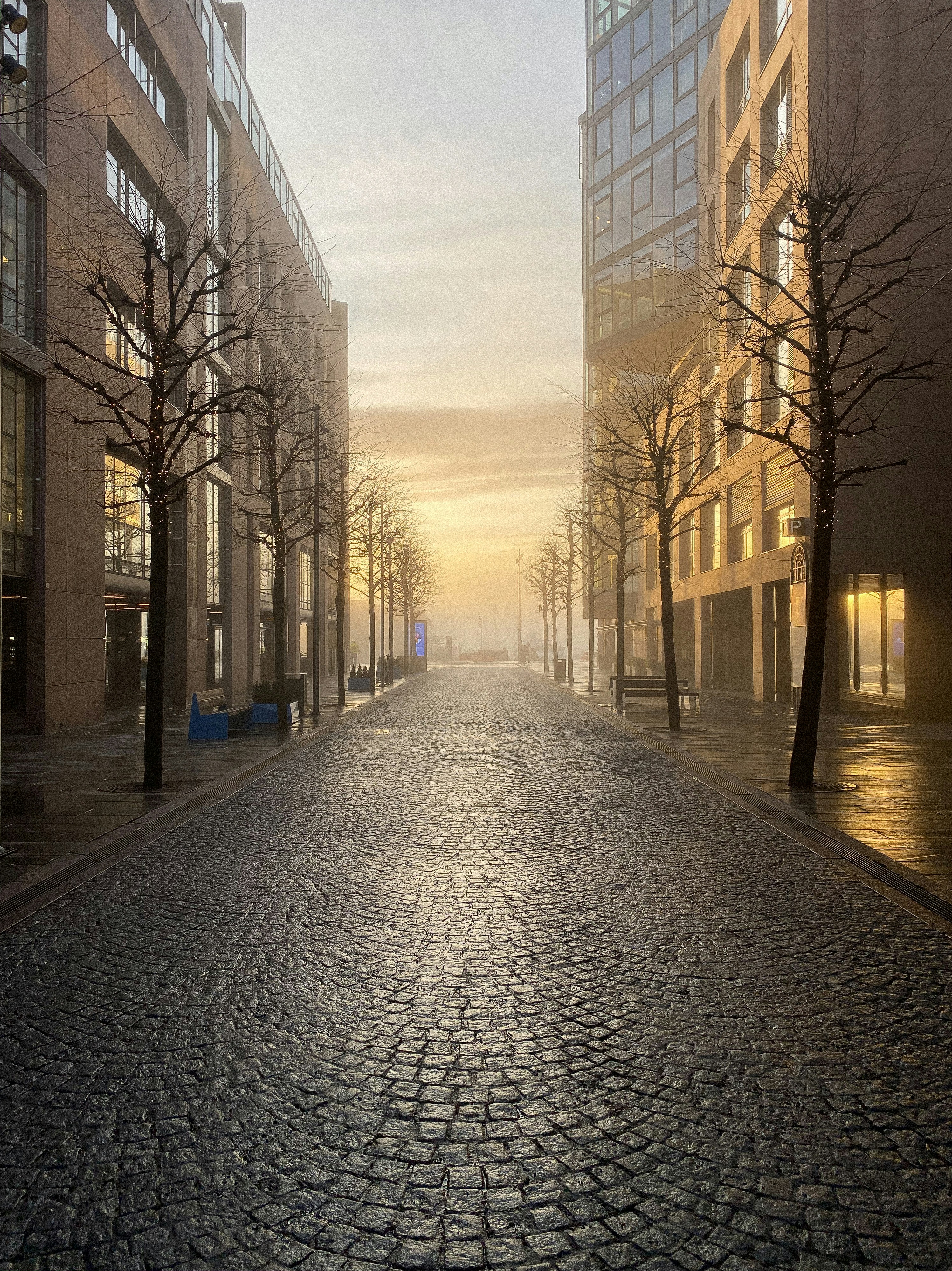 Poof! Sorry, linked image has been removed!