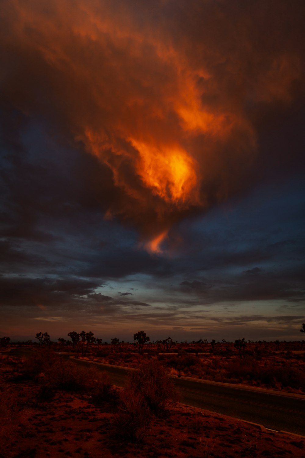 photography of desert during daytime