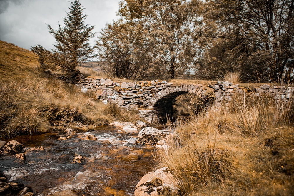 view photography of brown bridge and river