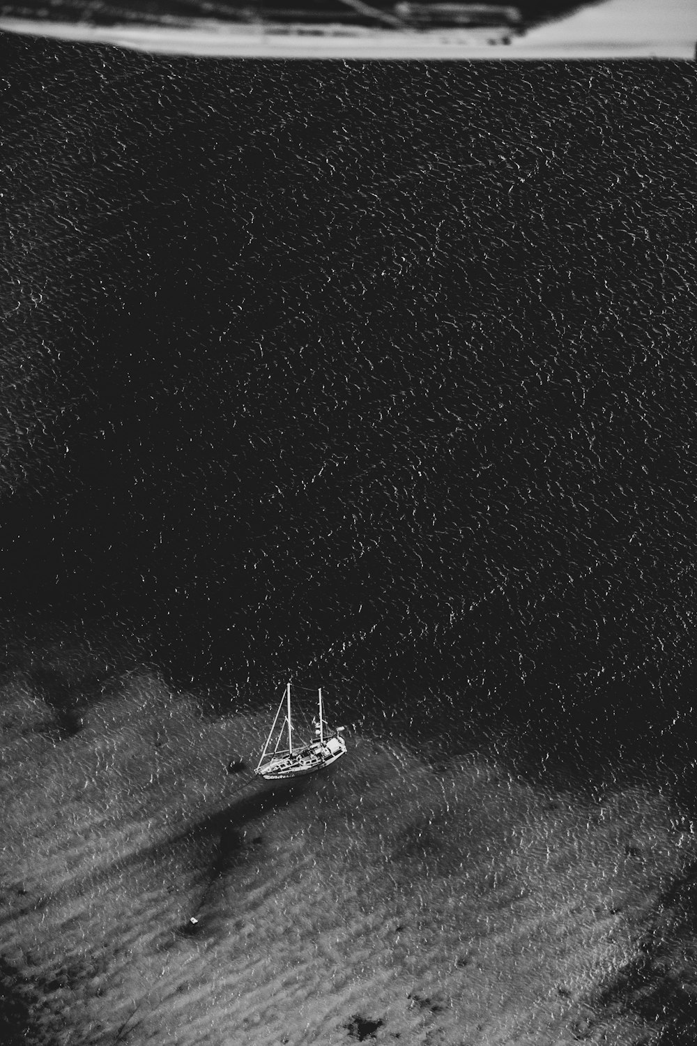 aerial photography of white sailboat