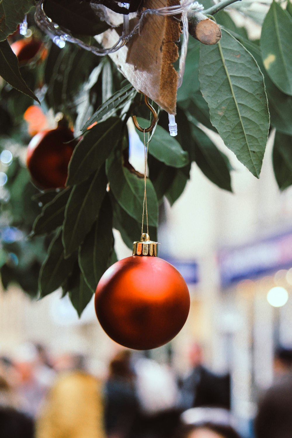 orange bauble hanging on green leaf plant