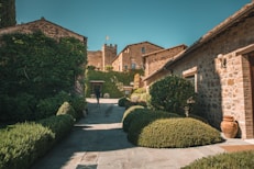 view photography of garden and house during daytime