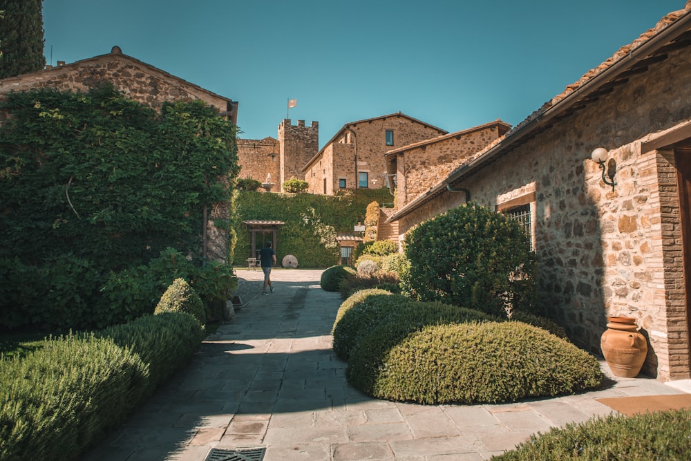 view photography of garden and house during daytime