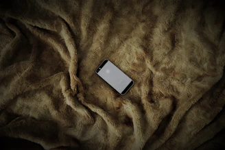 A sleek smartphone screen showing the Aleef Pets app dashboard with pet care options.