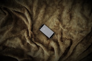 Screenshot of the PetLuxury.app homepage featuring elegant design and smooth navigation