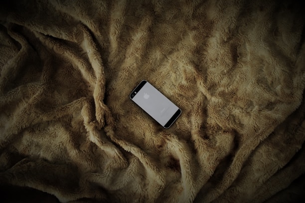 Close-up of a smartphone screen showing a colorful, easy-to-read dog wellness scan interface from Breed Guardian AI.