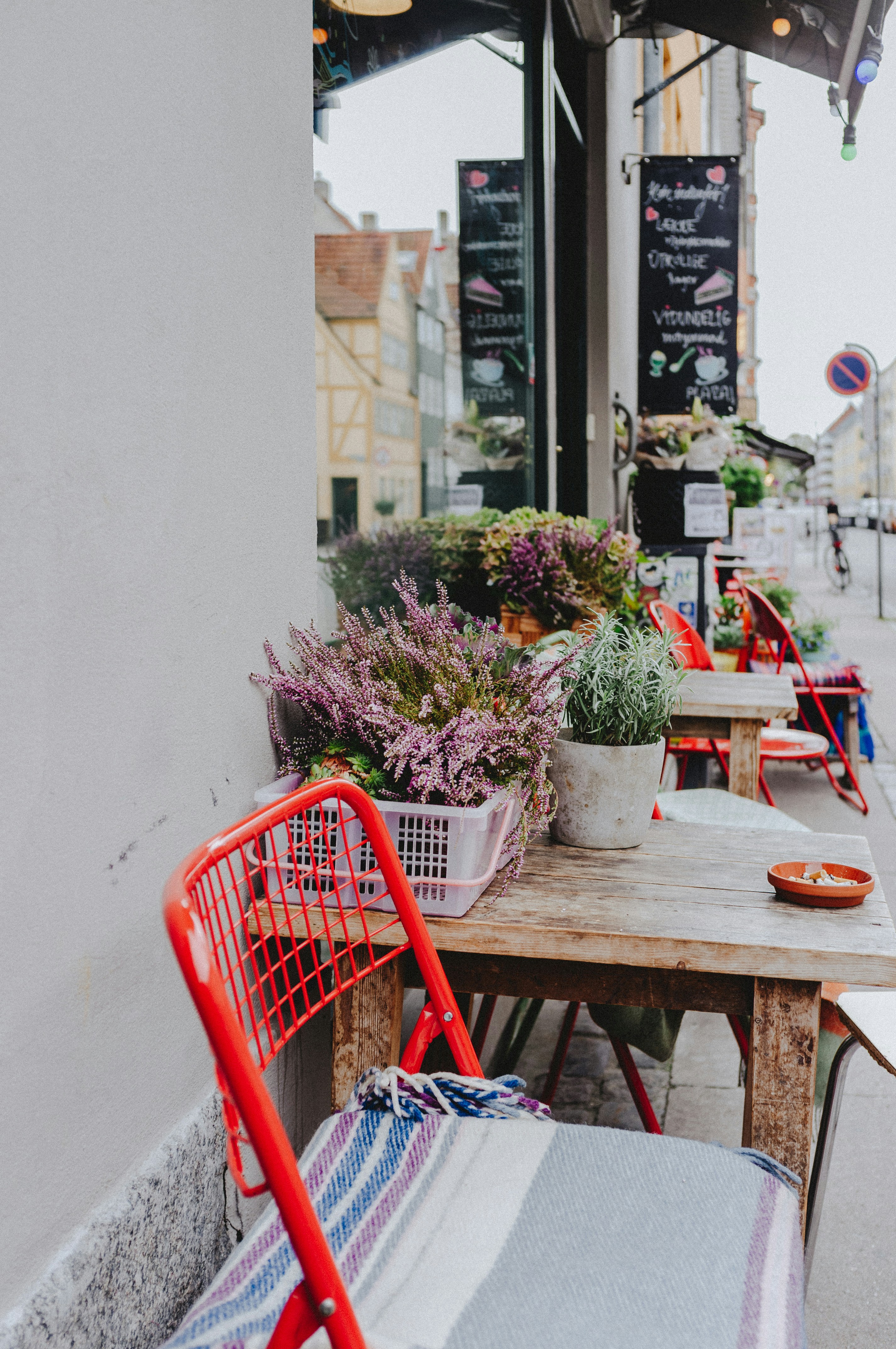 Photo by moisamihai092