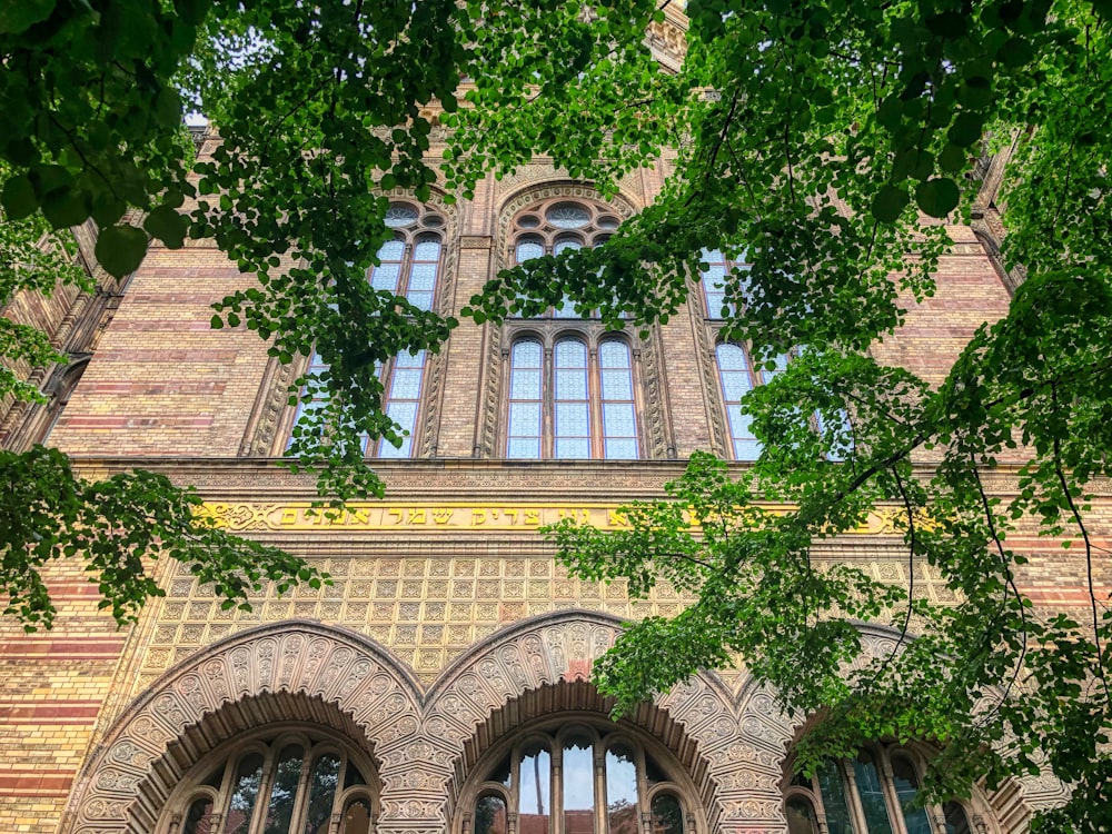 low-angle photography of brown New Synagogue in Berlin near green trees