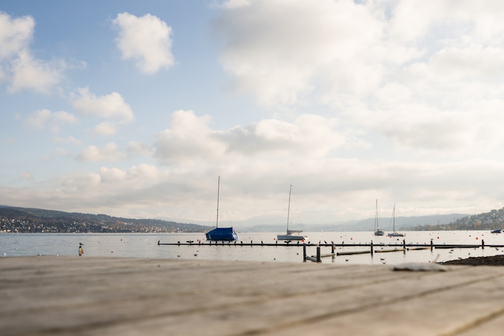 brown ocean dock photogrpah