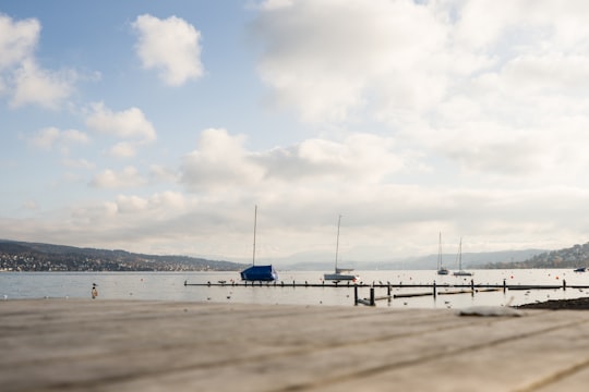 brown ocean dock photogrpah in Zürichsee Switzerland