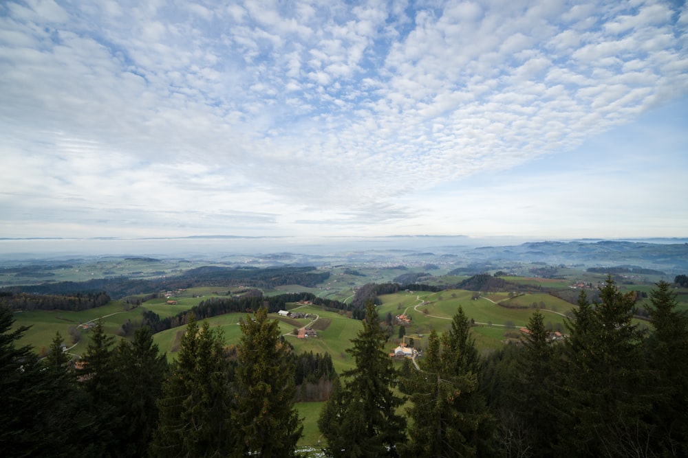 trees on hill under cloudy sky