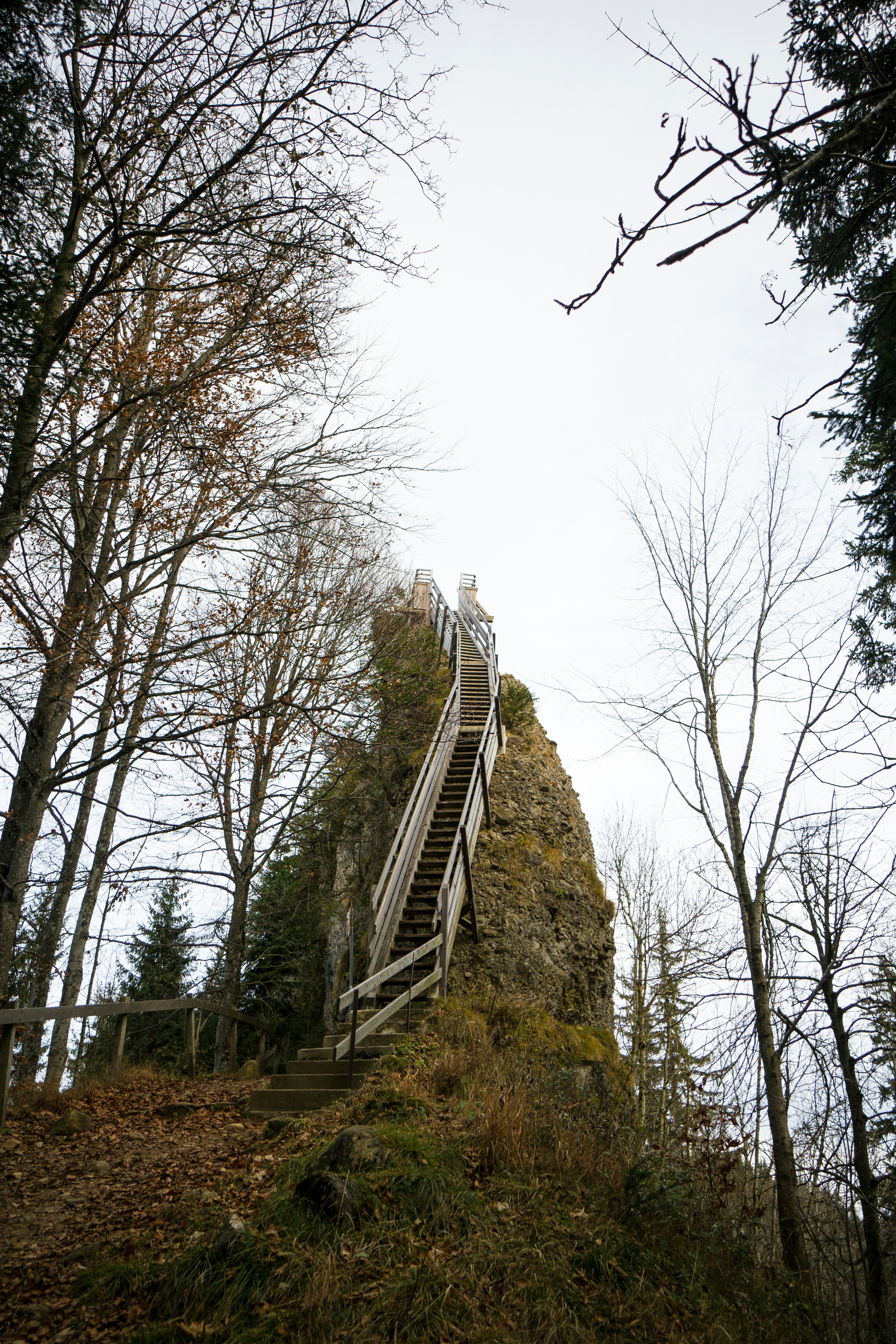 Escaleras grises y negras cerca de los árboles durante el día