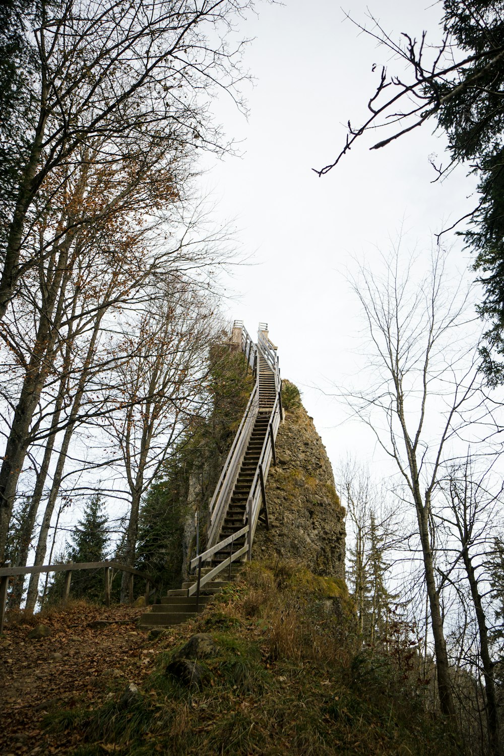 gray and black stairs near trees during daytime