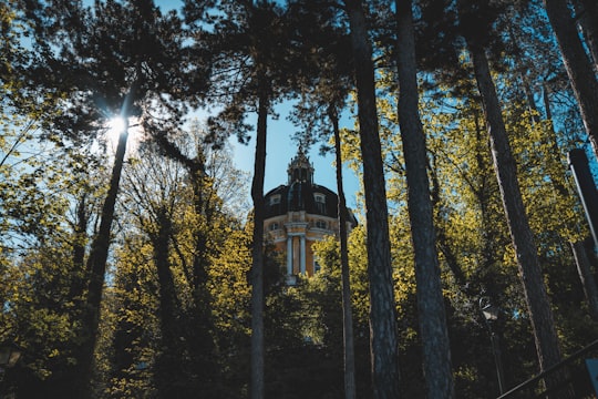 brown and white house surrounded by trees in Turin Italy