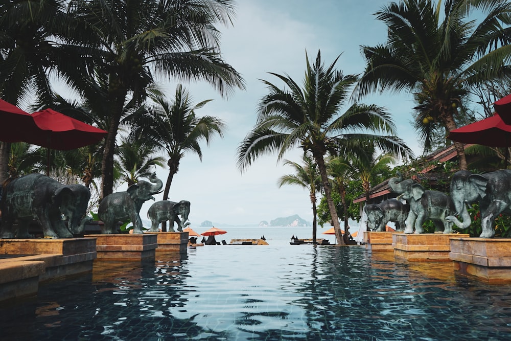 wavy swimming pool during daytime