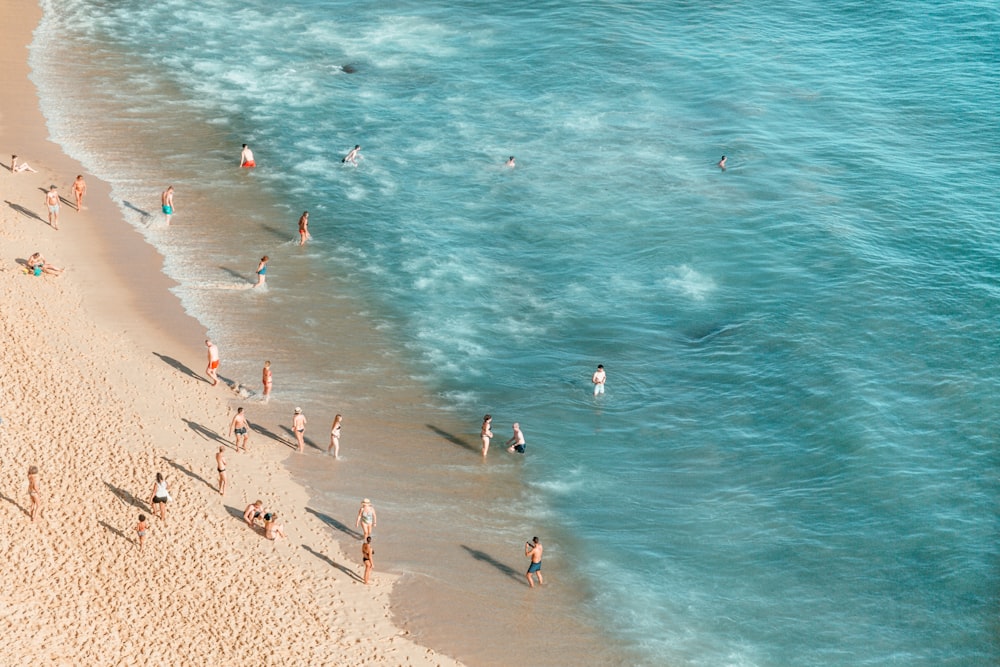 people on beach viewing green body of water