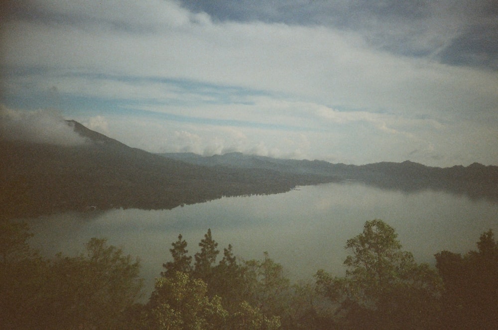 trees near body of water under cloudy sky