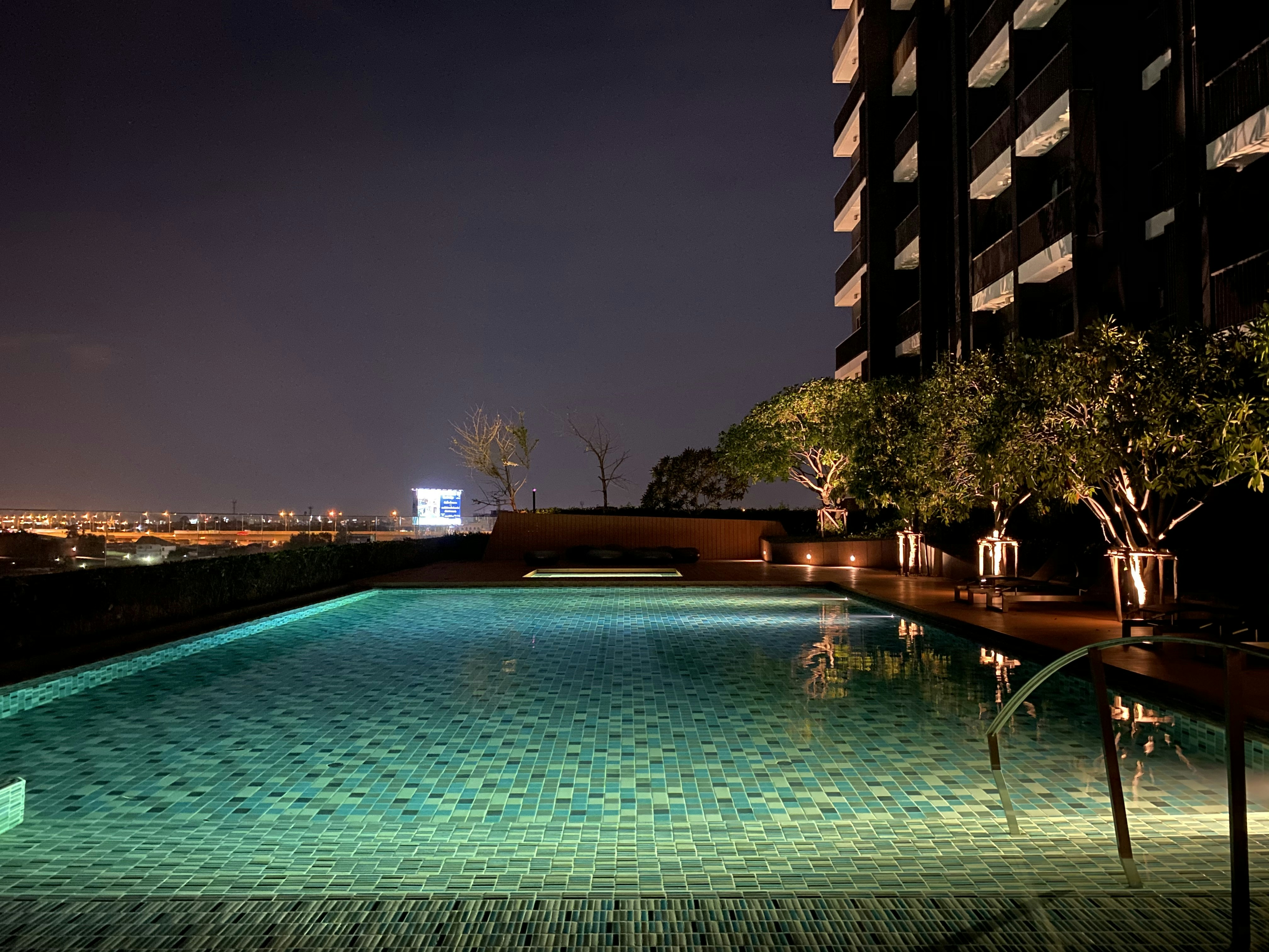 plantas cerca de la piscina tranquila