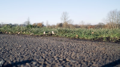 Close-up of a paved access road leading to a commercial lot surrounded by greenery.
