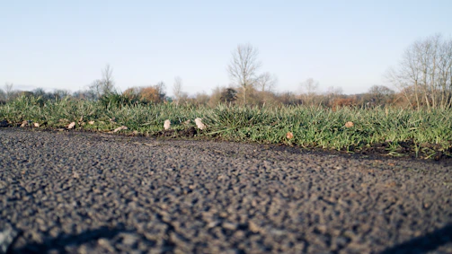 Wide shot of a completed eco-friendly pavement blending with surrounding greenery.
