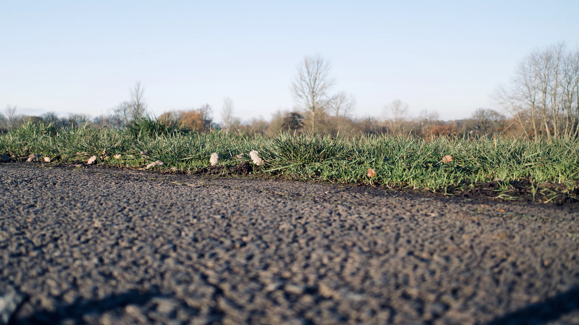 Wide shot of a freshly compacted natural pavement area surrounded by greenery under a clear sky.