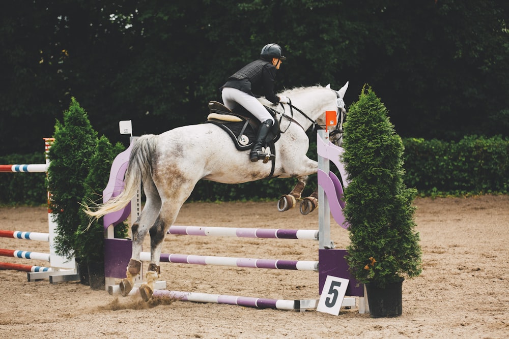 man riding white horse