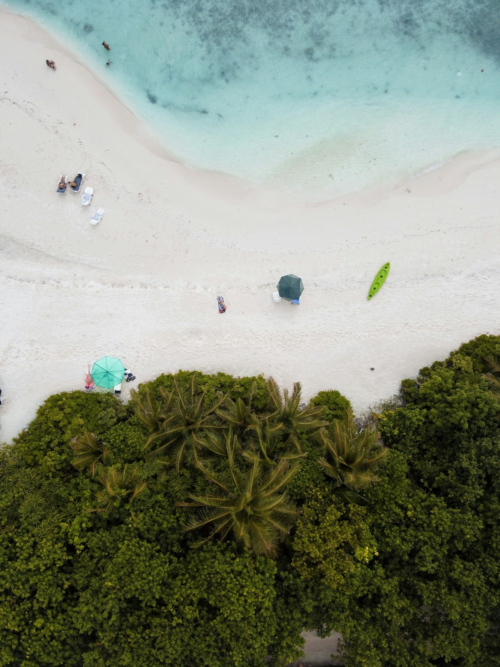 aerial photography of people near seashore during daytime
